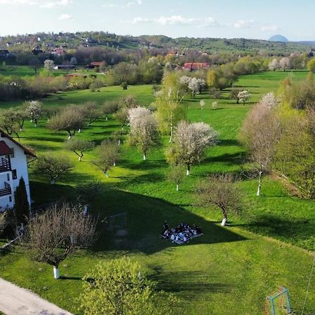 Pensiunea Din Livada Bran  Exterior foto